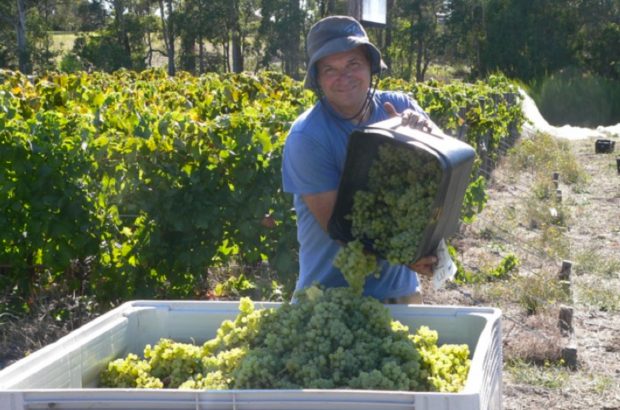 Cloudburst Will Berliner