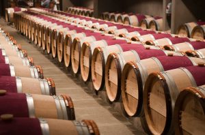 collecting napa wine