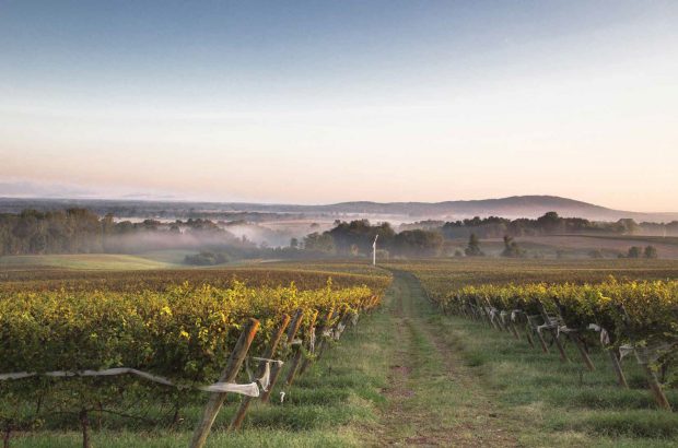 Barboursville Vineyards