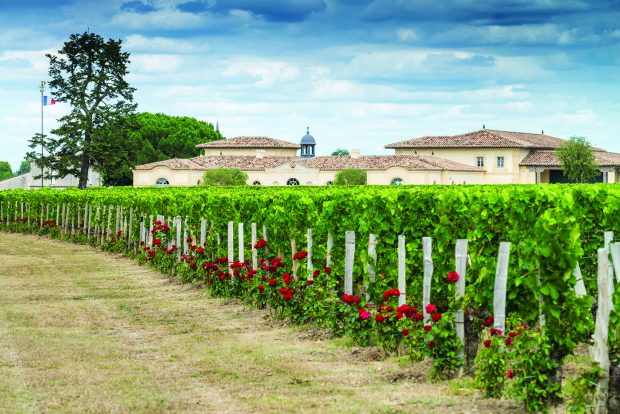 Chateau Petrus, Pomerol, Bordeaux