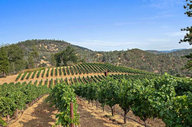 california wine ranch, property sale