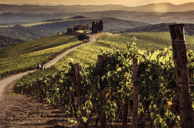 Castiglion del Bosco