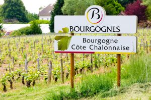 Vineyards of the Côte Chalonnaise region