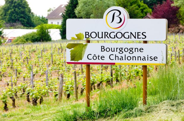Vineyards of the Côte Chalonnaise region