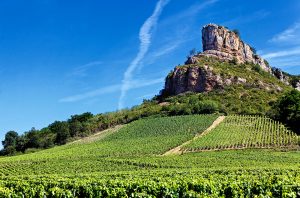 Solutre Rock with vineyards