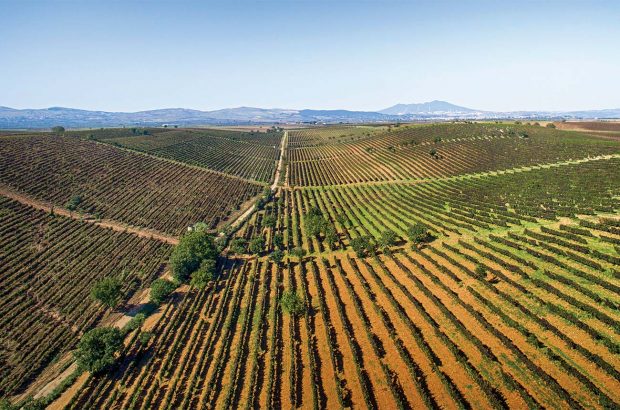 Italy co-ops, Cantina di Venosa