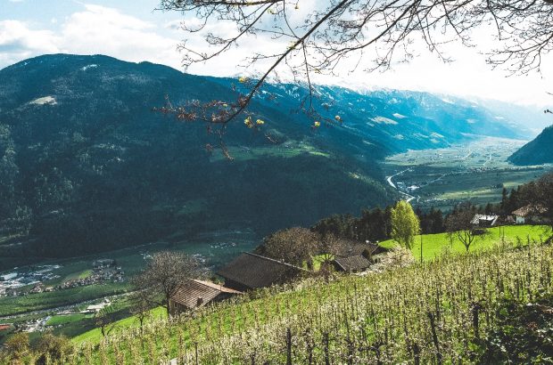 DWWA 2020 Northern Italy