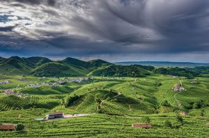 Valdobbiadene Superiore di Cartizze landscape