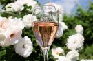best Prosecco rosé