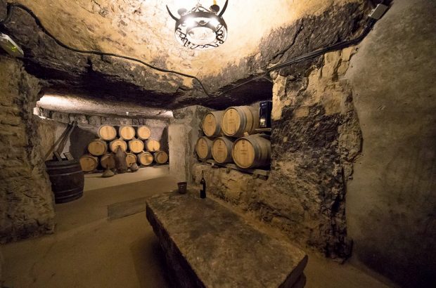 Bodegas Lecea Cellar