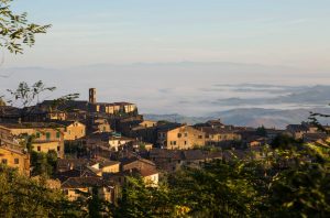 Brunello di Montalcino