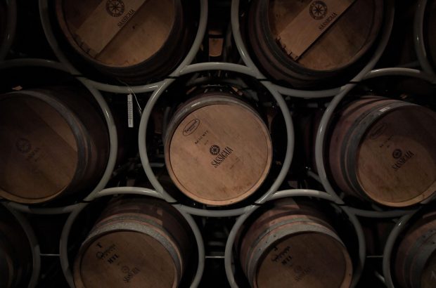 Sassicaia 2018 Vintage