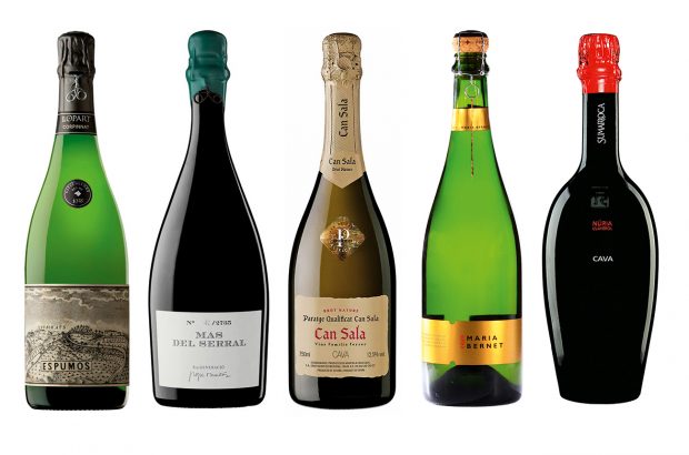 Spanish-Sparkling-Wines