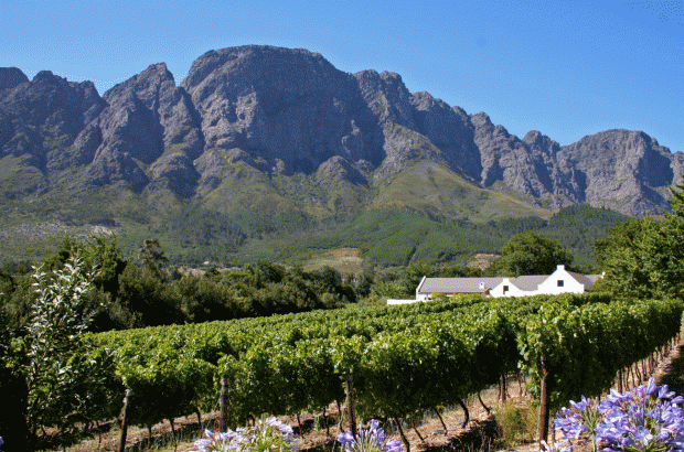Boekenhoutskloof Winery