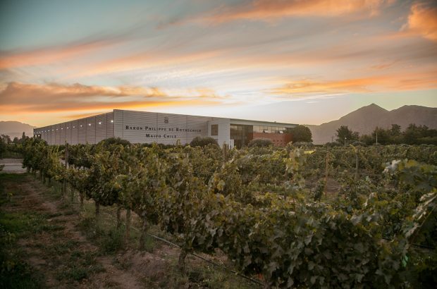 Baron Philippe de Rothschild Chile Escudo Rojo