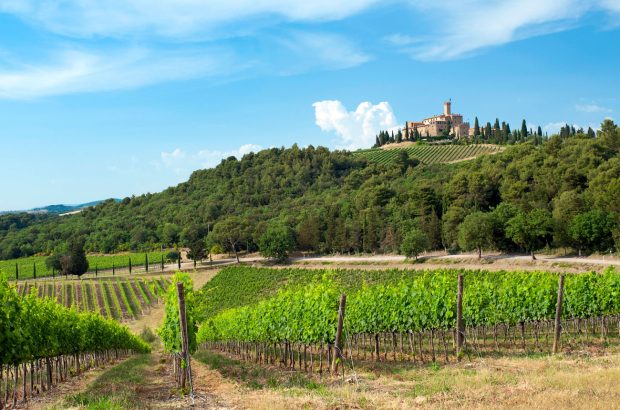 Castello Banfi wines Producer Profile