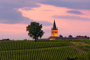 Beaujolais vineyards