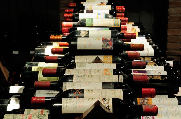 Left Bank Bordeaux reds Mouton Rothschild