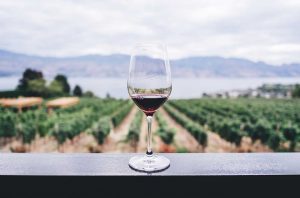 wine future 2021 conference addresses major issues via Zoom