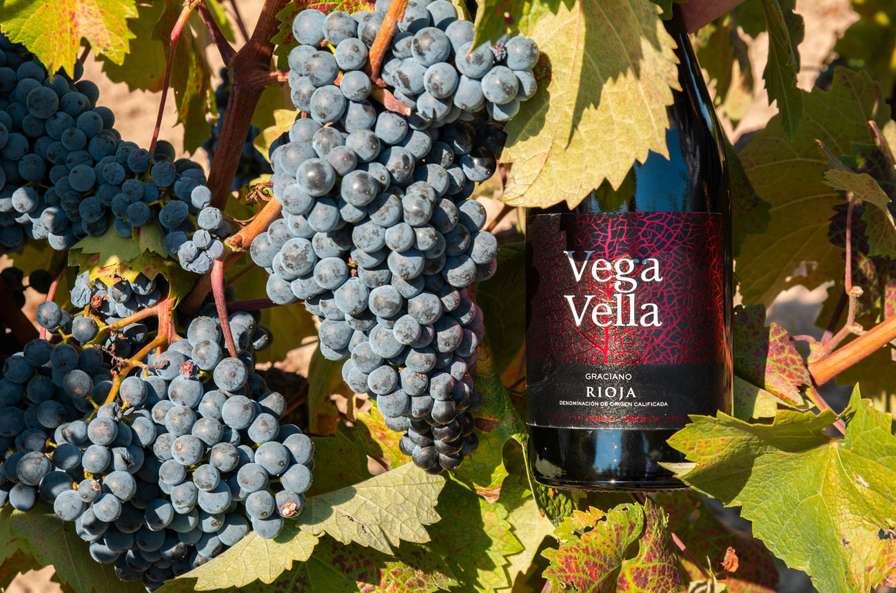 Cornelio Dinastia Rioja wine