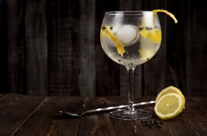 Large glass of gin and tonic with lemon slices
