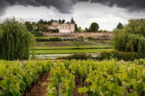 What's new in Bordeaux wine in 2021? Lafite Rothschild is beginning a large biodiversity programme.