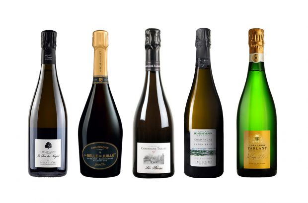 Pinot-Meunier-Champagnes