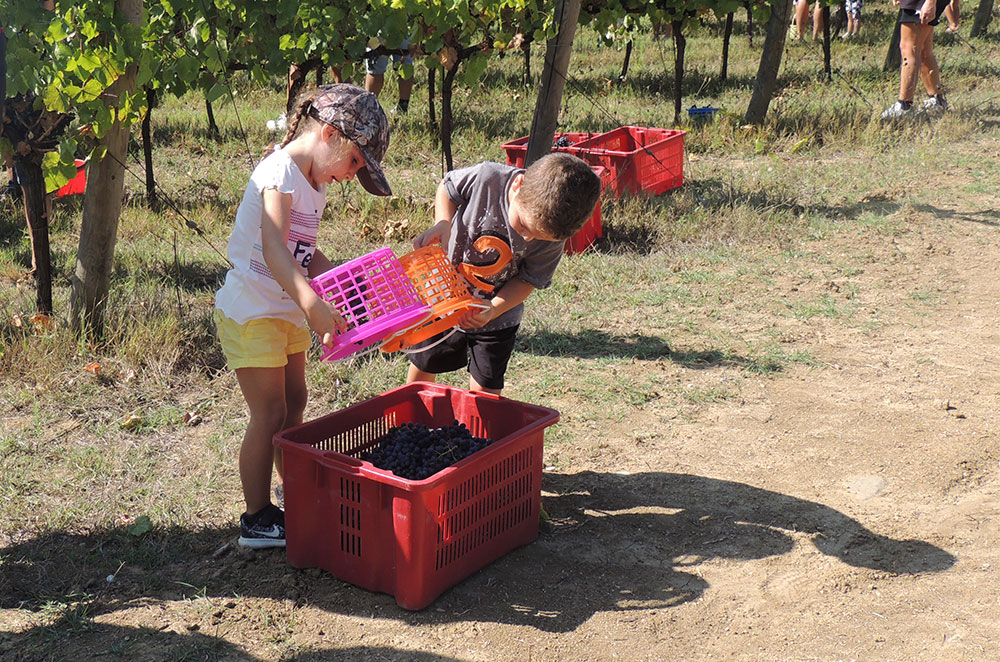 Terre Margaritelli children