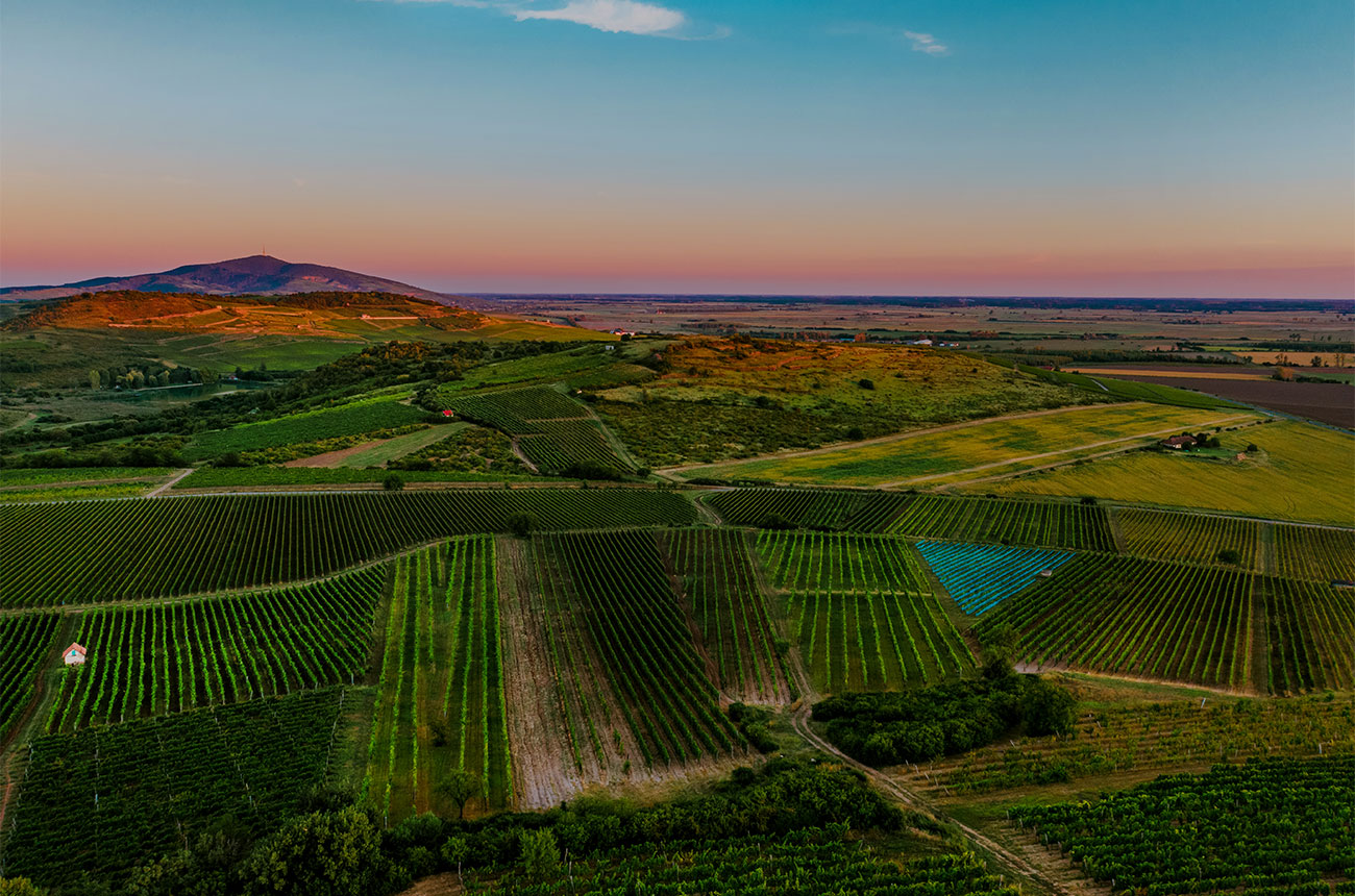 Exploring Hungary around the wine regions Decanter