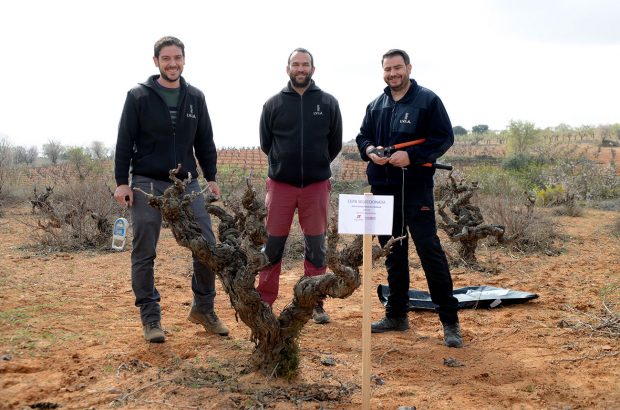 Utiel-Requena ValoraBobal project