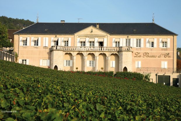 Domaine de la Pousse d'Or