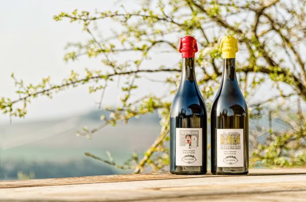 The still wines of Champagne