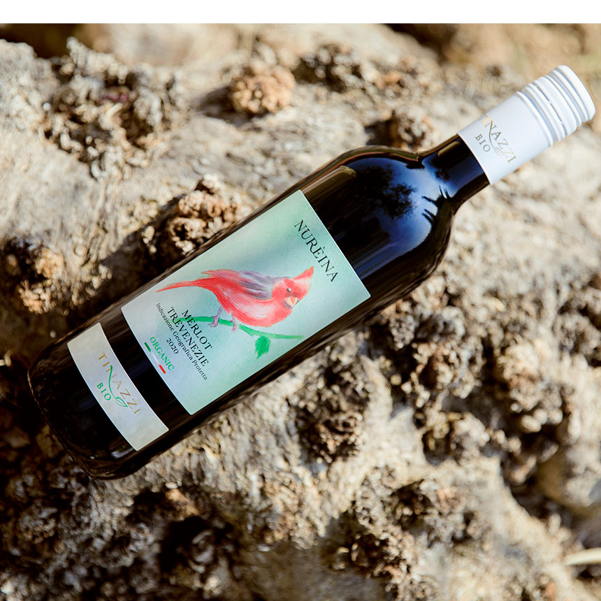 Nureina Merlot Trevenezie