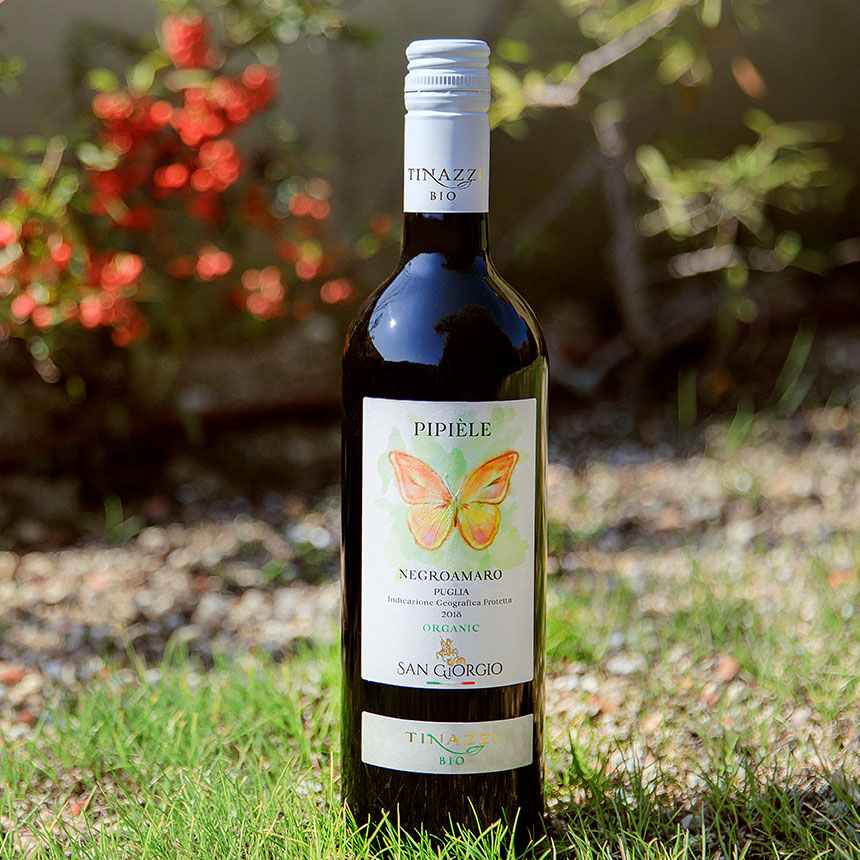 Pipiele Negroamaro Puglia