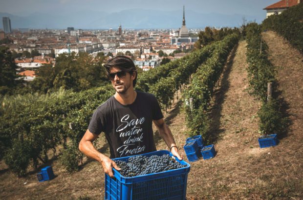 Luca Balbiano harvesting grapes overlooking Turin