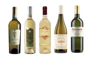 Vermentino-Bottles