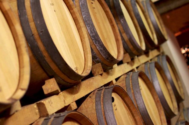 Bordeaux wine ageing in barrels in the cellars.