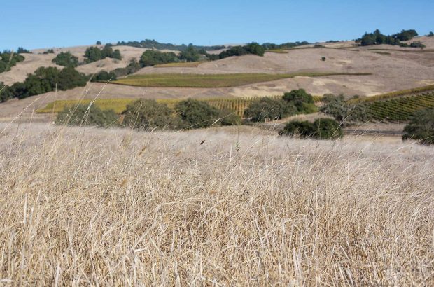 Dry conditions in Sonoma County in California have become a drought emergency in 2021