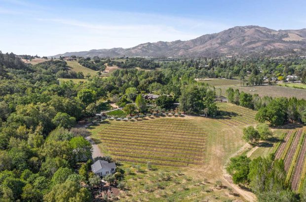 Two Creeks Farm vineyard property in Sonoma Valley