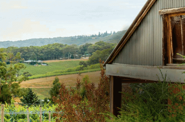 Adelaide Hills Pinot Noir - Ashton Hills