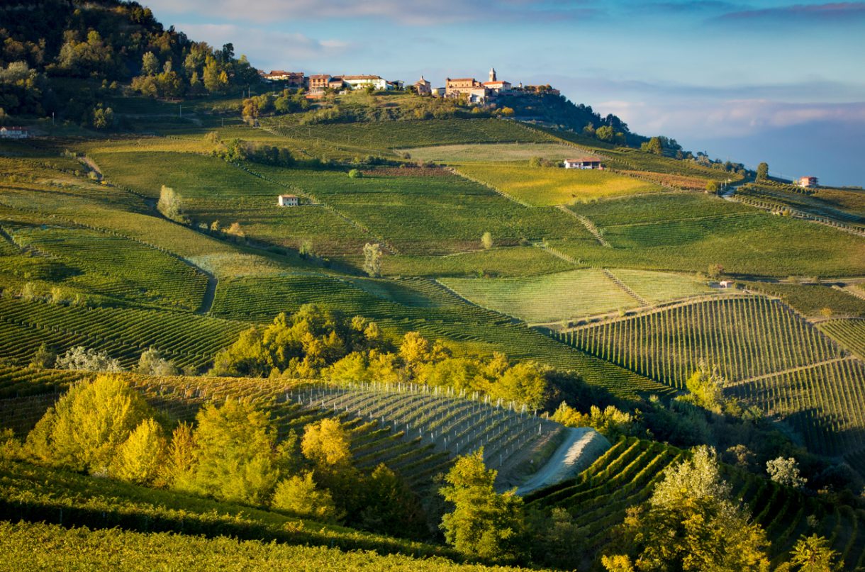 Barolo wine region
