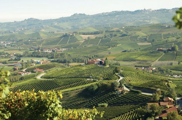Barolo 2013