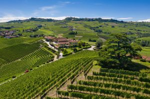 Piedmont wine vintage guide