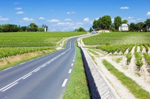 The route up through Pauillac, which saw some of the biggest rises in Bordeaux vineyard prices in 2020.