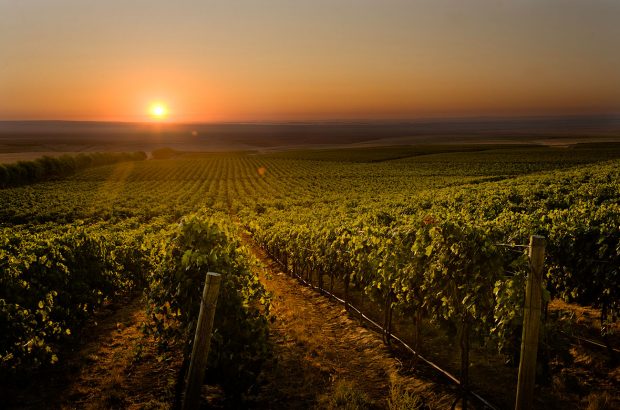 Washington 2018 best value