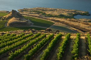 Columbia Valley 2018 red wines