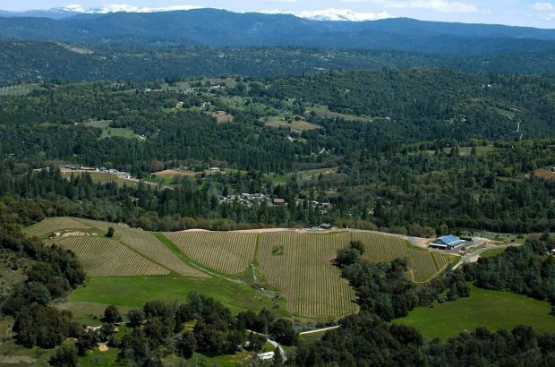 El Dorado County - Skinner Vineyards