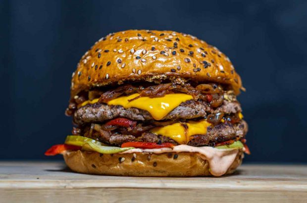 image of a hamburger