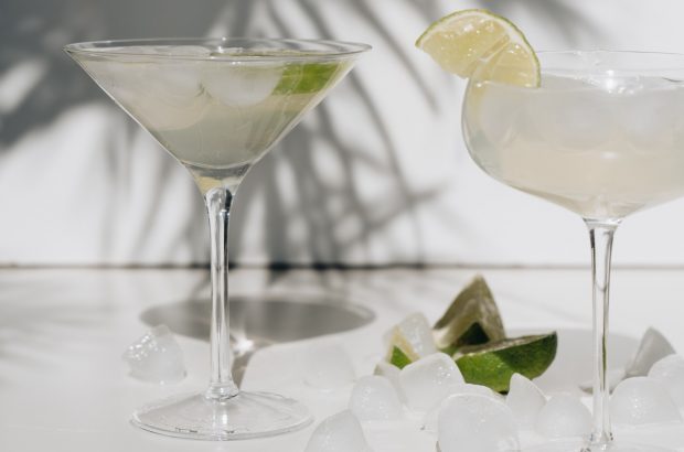 Two margarita cocktails in cocktail glasses with a palm leaf shadow behind