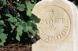 Moët & Chandon 2013